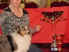  - Lutine bleue du Cèdre enchanté, Meilleur puppy de la spéciale de Tours