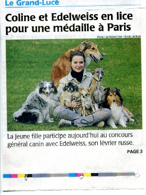 du Cèdre Enchanté - Coline et ses chiens à Paris,suivie par Direct 8