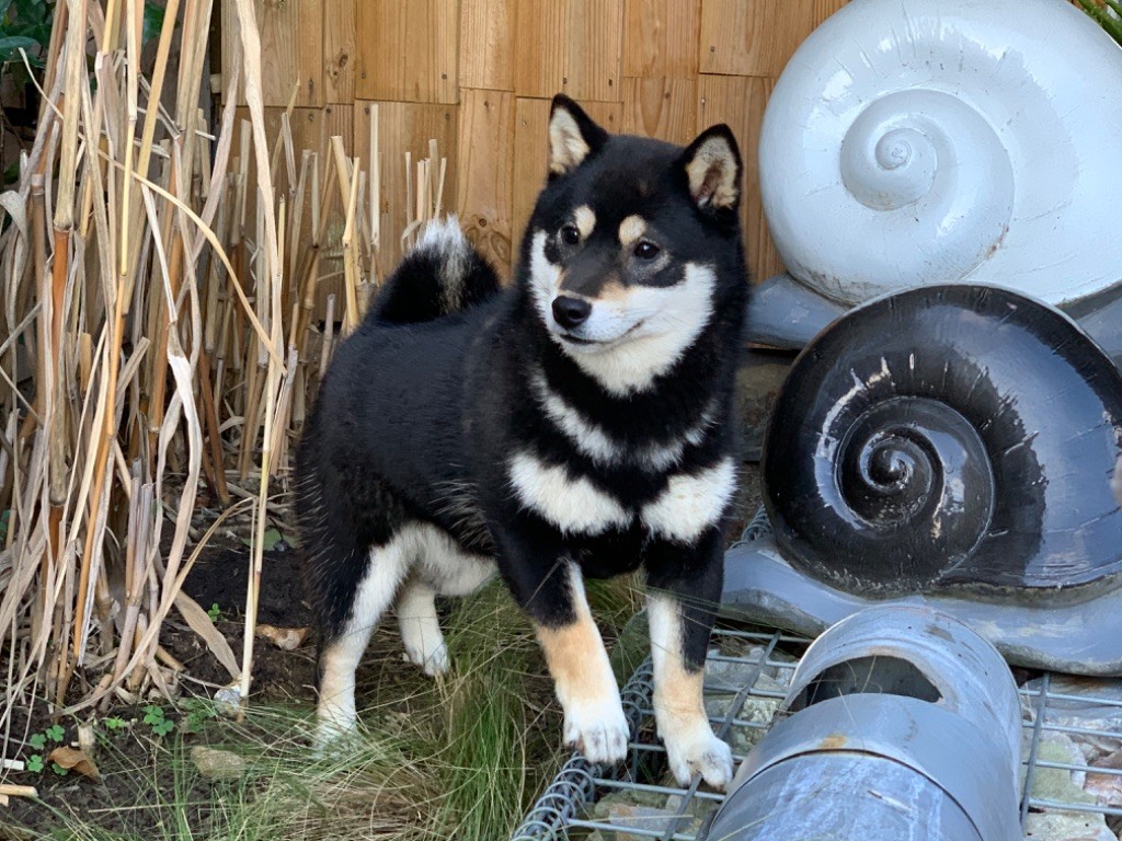 Rakelle du Domaine du Clos Benoît