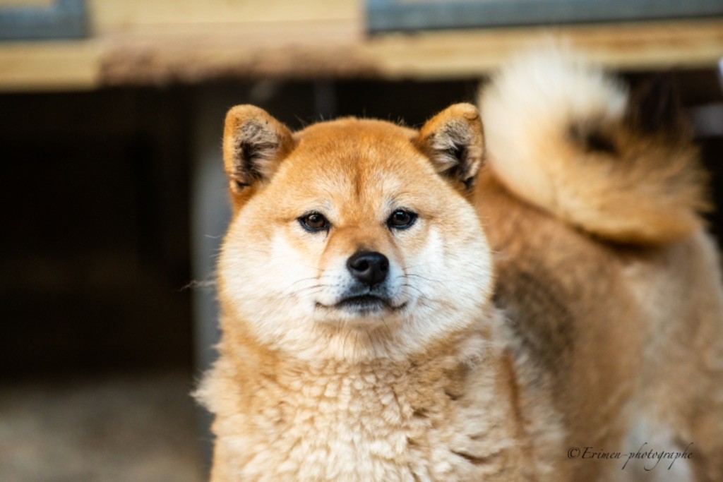 Rebeka du Domaine du Clos Benoît
