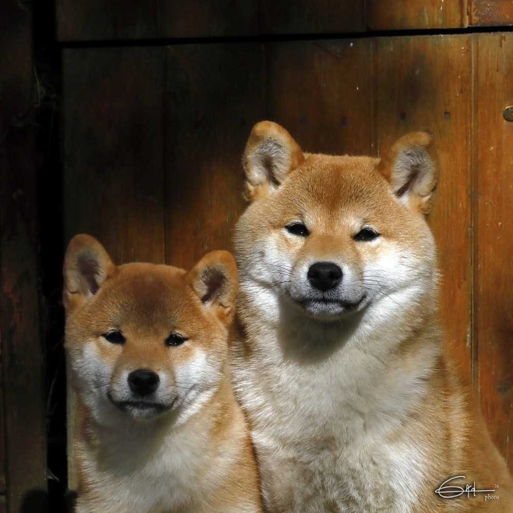 ATSUYA of three love angel