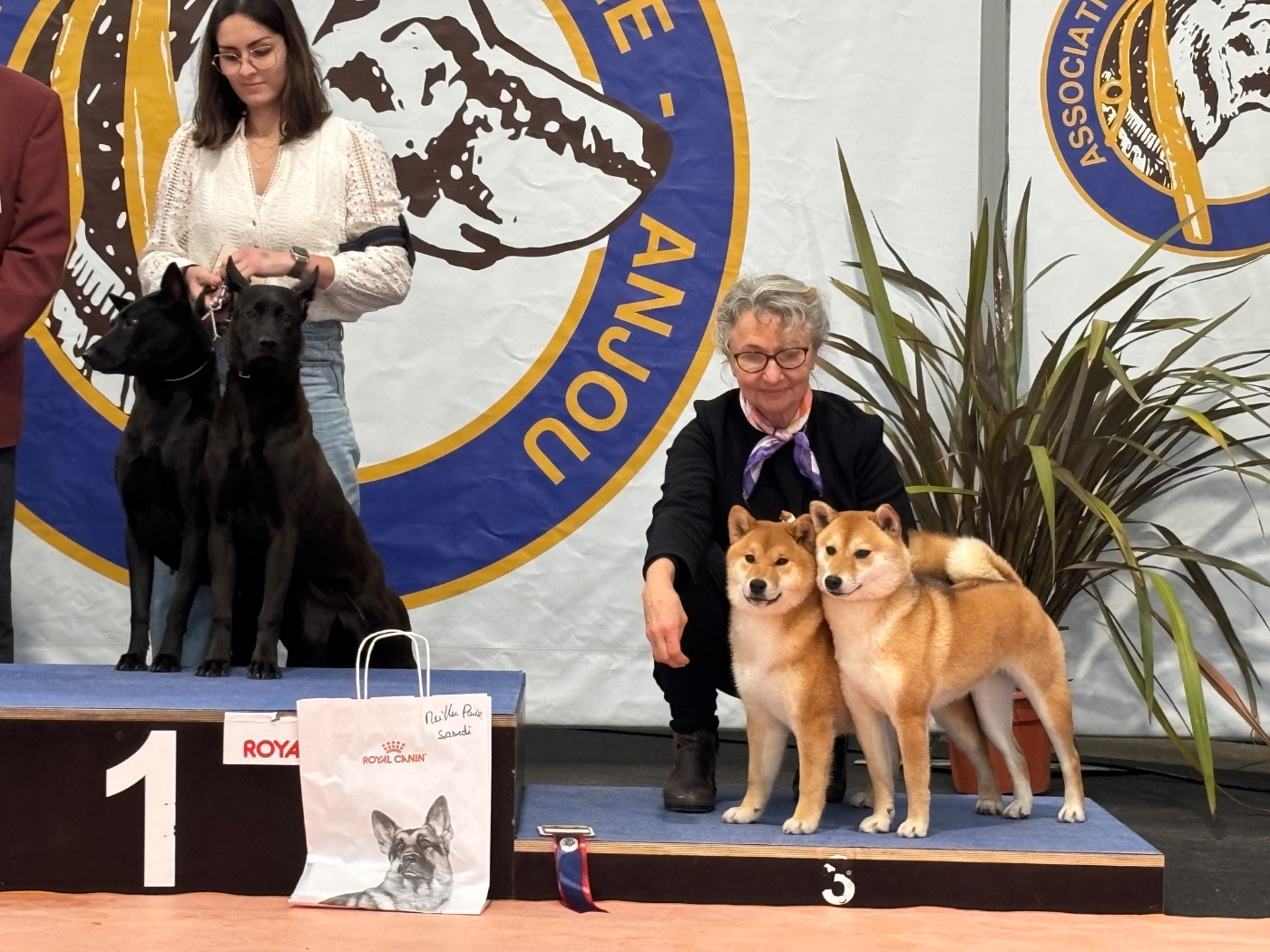 Hinata go you djenima