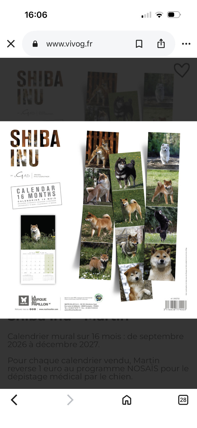 Shibas au Cèdre Enchanté